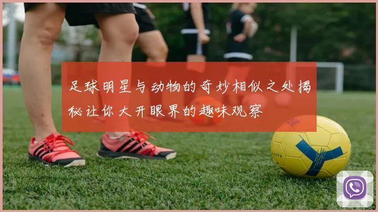 足球明星与动物的奇妙相似之处揭秘让你大开眼界的趣味观察